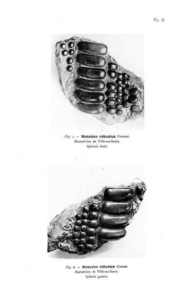 Fichier:ALS 1922 1.pdf