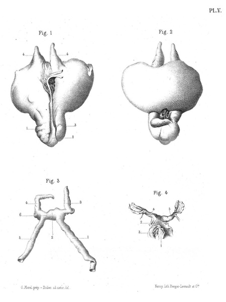 Fichier:ALS 1877 3 6.pdf