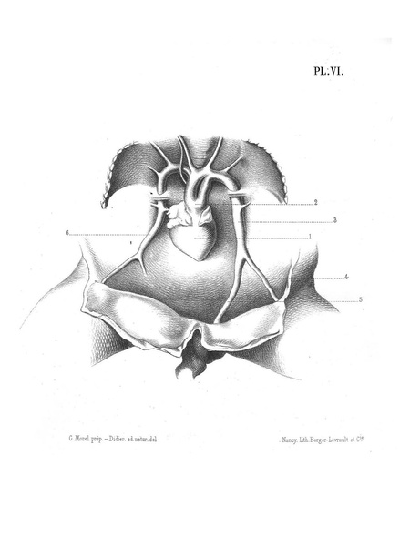 Fichier:ALS 1877 3 6.pdf