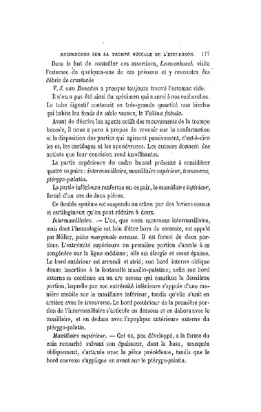 Fichier:ALS 1877 3 6.pdf