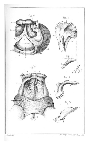 Fichier:ALS 1877 3 6.pdf