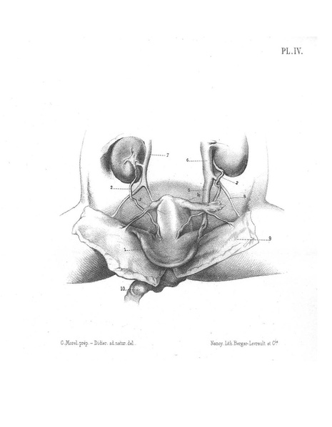 Fichier:ALS 1877 3 6.pdf