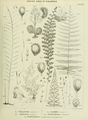 ALS Mémoires 1858 page 159.jpg