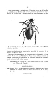 page suivante →