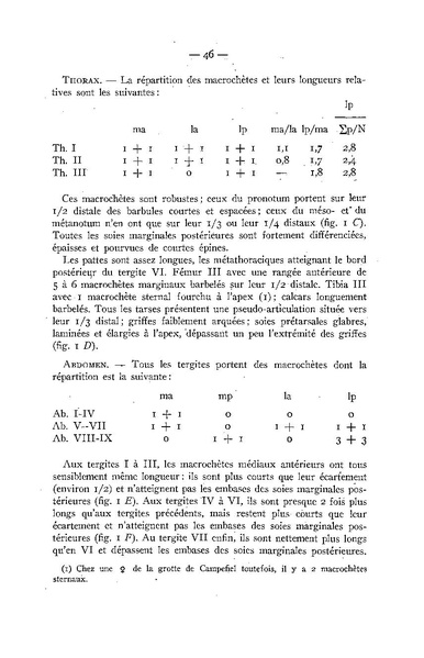 Fichier:ALS 1948 2.pdf