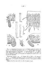 page suivante →