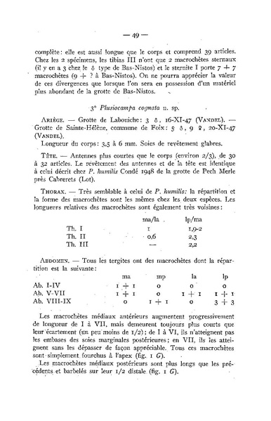 Fichier:ALS 1948 2.pdf
