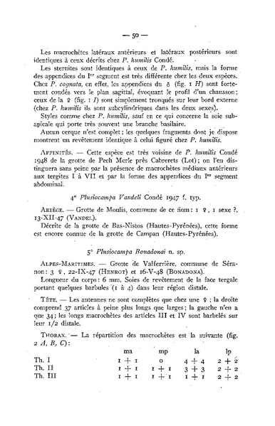 Fichier:ALS 1948 2.pdf