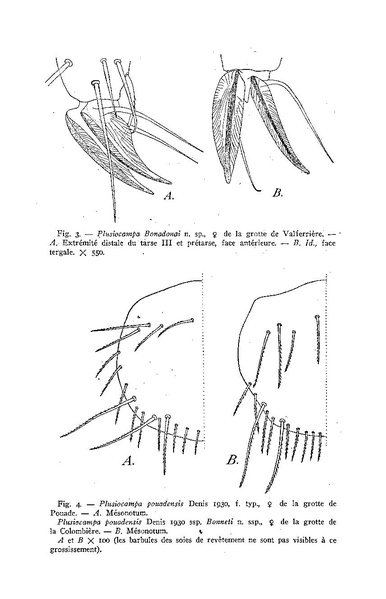 Fichier:ALS 1948 2.pdf