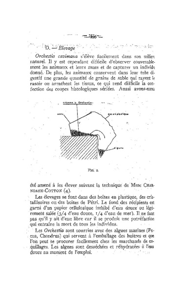 Fichier:ALS 1958 4.pdf