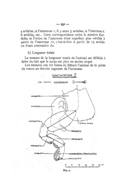 page suivante →