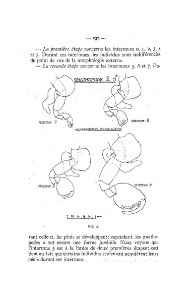 Fichier:ALS 1958 4.pdf