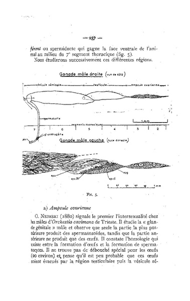 Fichier:ALS 1958 4.pdf