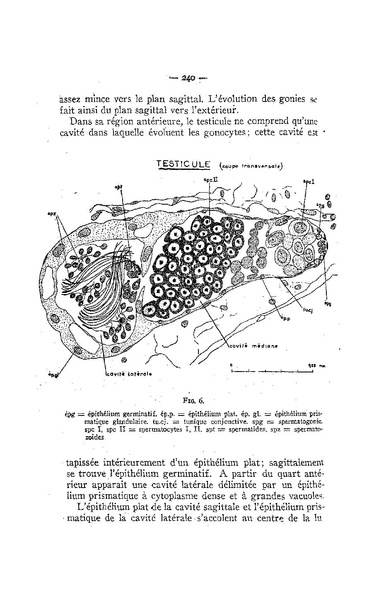 Fichier:ALS 1958 4.pdf
