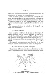 page suivante →