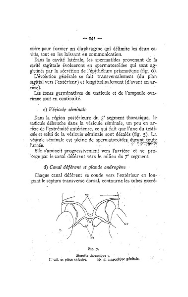 Fichier:ALS 1958 4.pdf