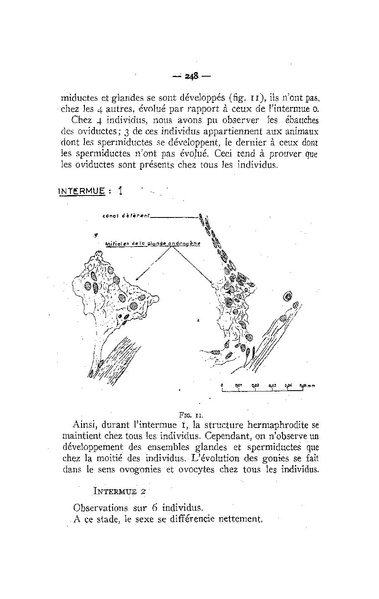 Fichier:ALS 1958 4.pdf