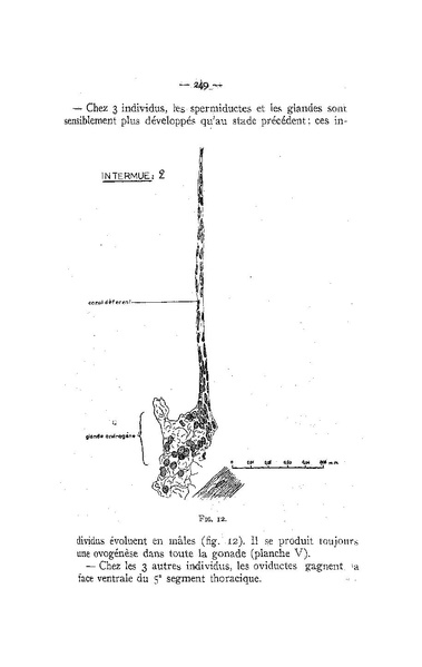 Fichier:ALS 1958 4.pdf