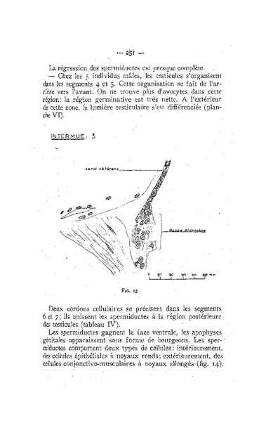 Fichier:ALS 1958 4.pdf