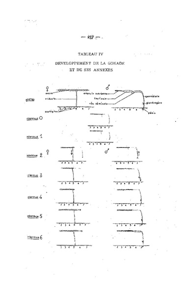 Fichier:ALS 1958 4.pdf