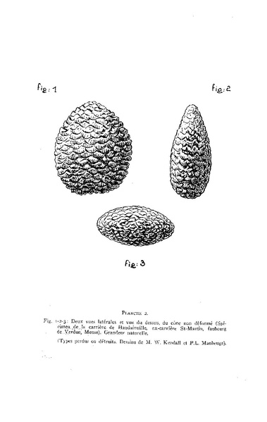 Fichier:ALS 1958 4.pdf