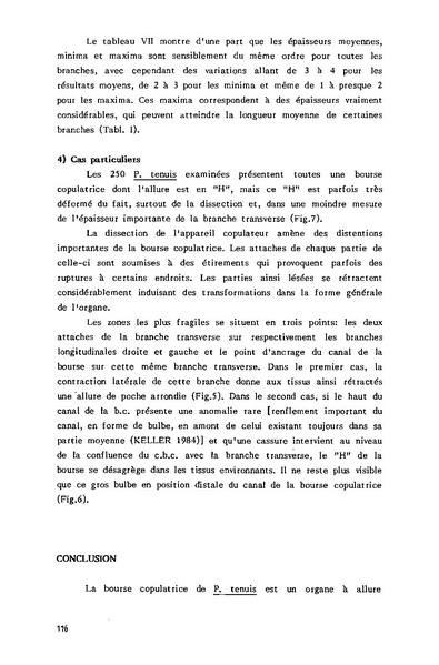 Fichier:ALS 1985 24 4.pdf