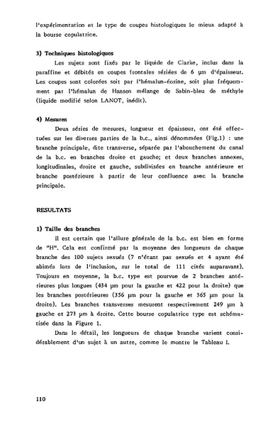 Fichier:ALS 1985 24 4.pdf