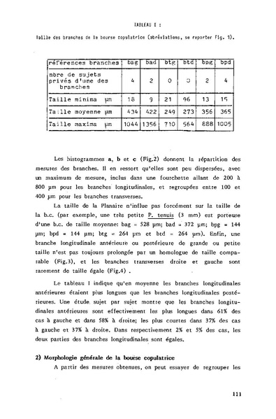 Fichier:ALS 1985 24 4.pdf