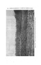 ALS 1911 12.pdf