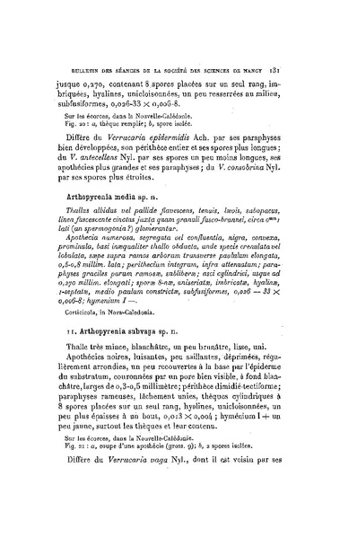 Fichier:ALS 1911 12.pdf