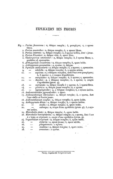 Fichier:ALS 1911 12.pdf
