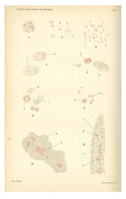 page suivante →