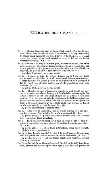 Fichier:ALS 1911 12.pdf