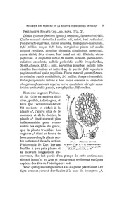 ← page précédente