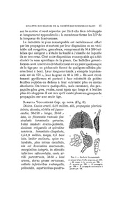 ← page précédente