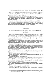 ← page précédente