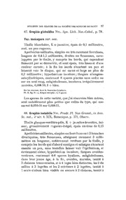 page suivante →
