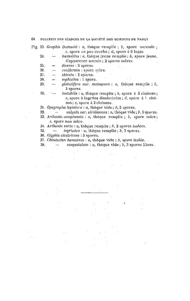 Fichier:ALS 1912 13.pdf