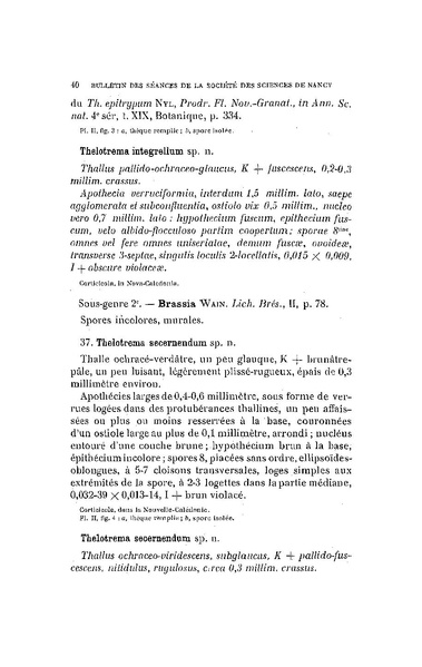 Fichier:ALS 1912 13.pdf
