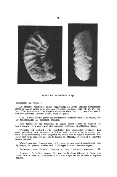 Fichier:ALS 1976 15 1.pdf