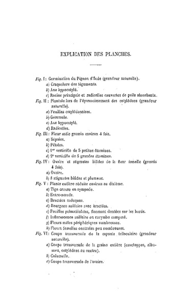 Fichier:ALS 1880 5 11.pdf