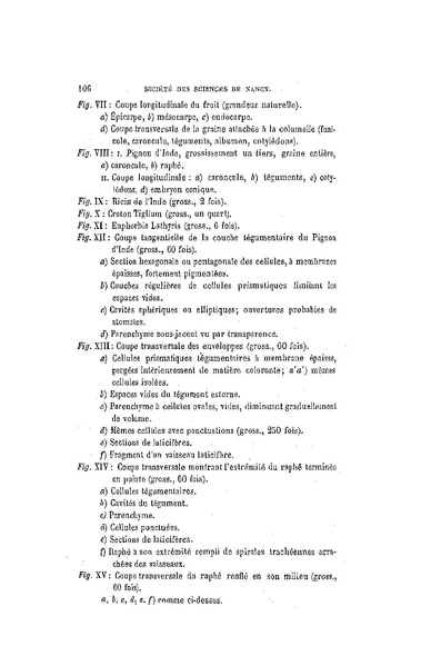Fichier:ALS 1880 5 11.pdf