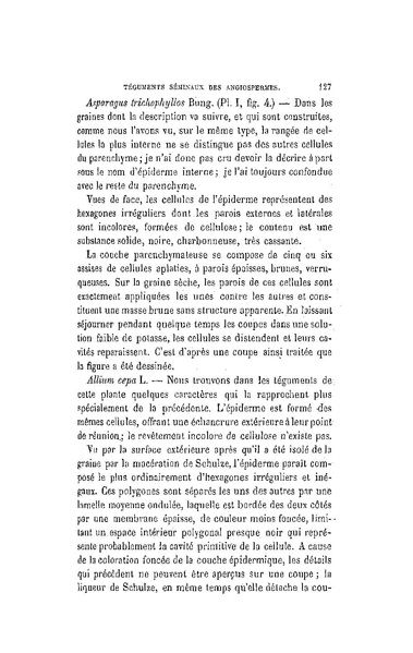 Fichier:ALS 1880 5 11.pdf