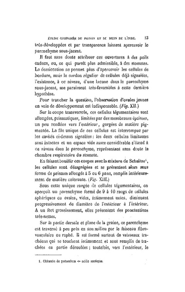 Fichier:ALS 1880 5 11.pdf