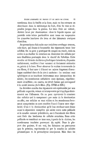 Fichier:ALS 1880 5 11.pdf