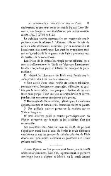 Fichier:ALS 1880 5 11.pdf