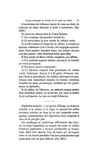 Fichier:ALS 1880 5 11.pdf