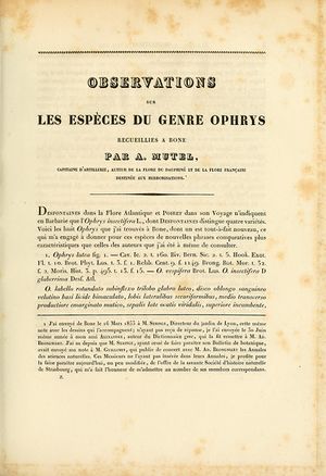 ALS Mémoires 1835 page 127.jpg