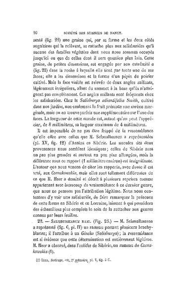 Fichier:ALS 1881 6 13.pdf