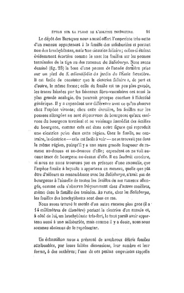 Fichier:ALS 1881 6 13.pdf